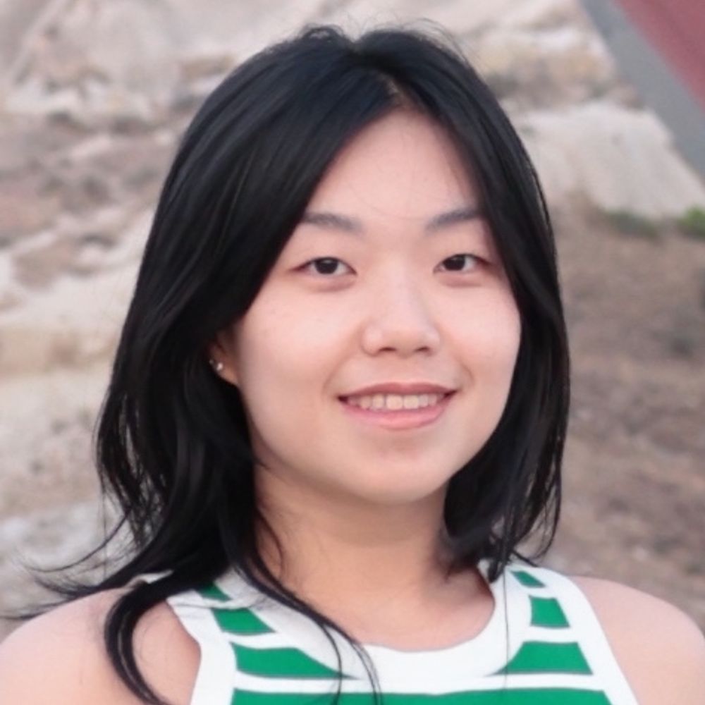 Wenjie Li