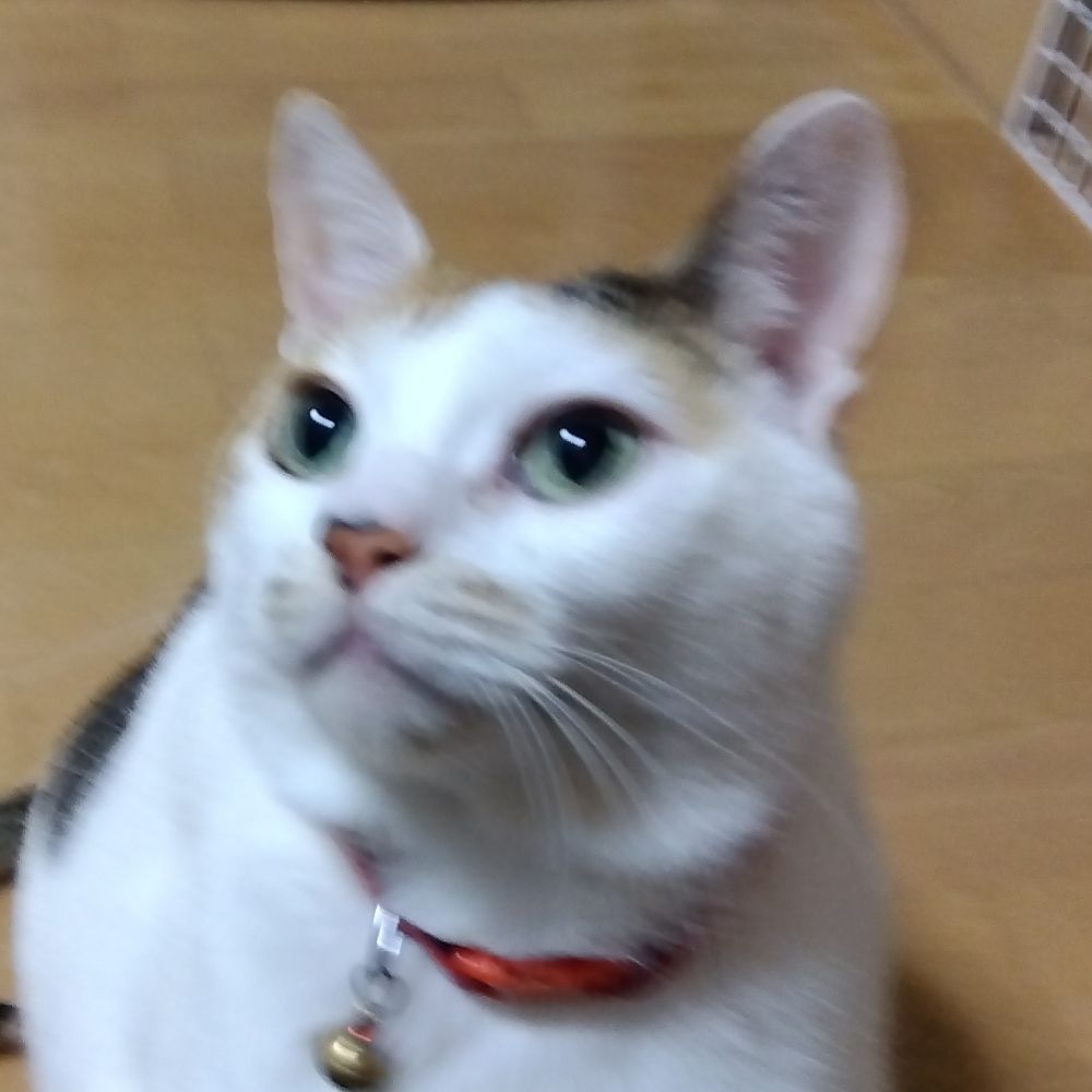 kunio.hino
