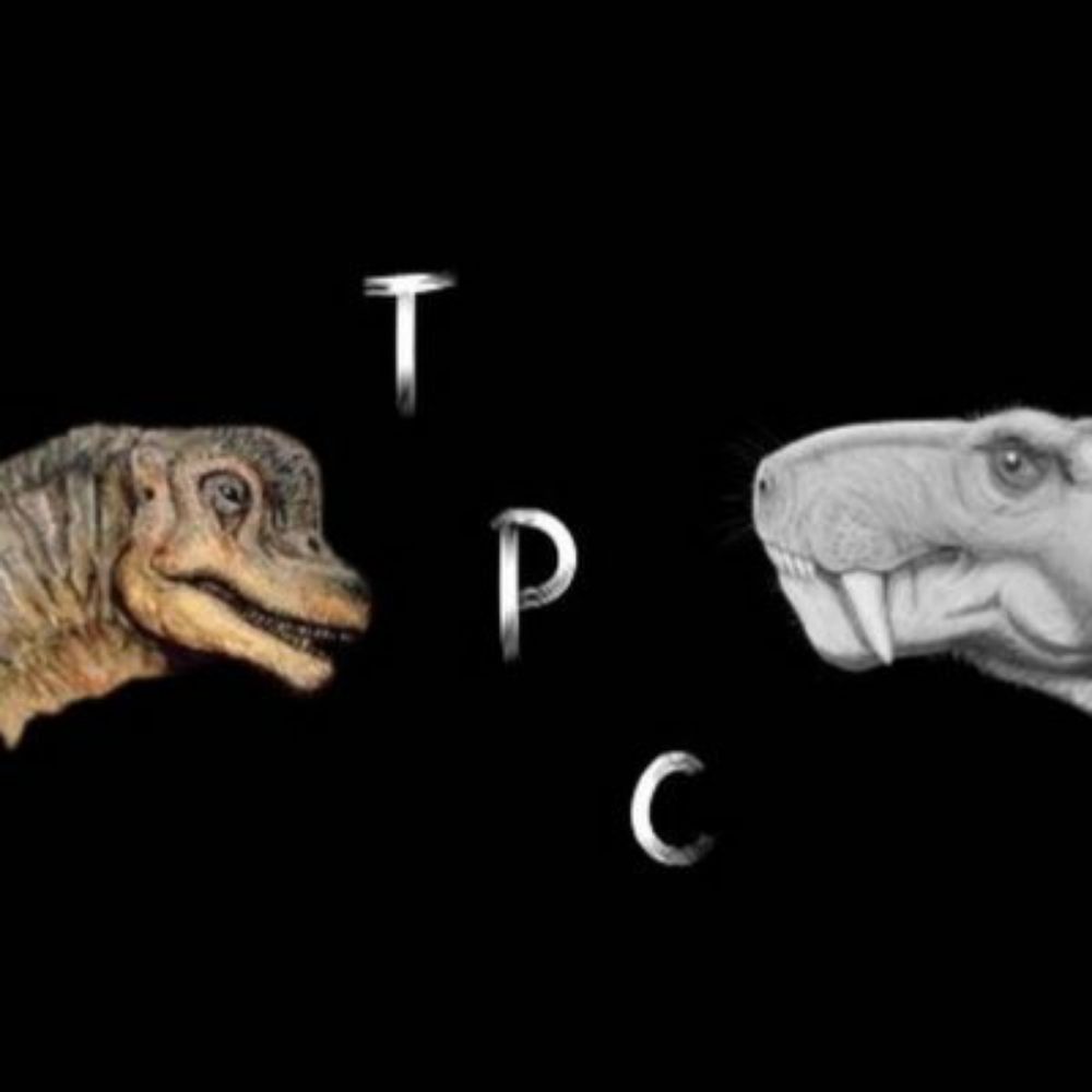 Prehistory