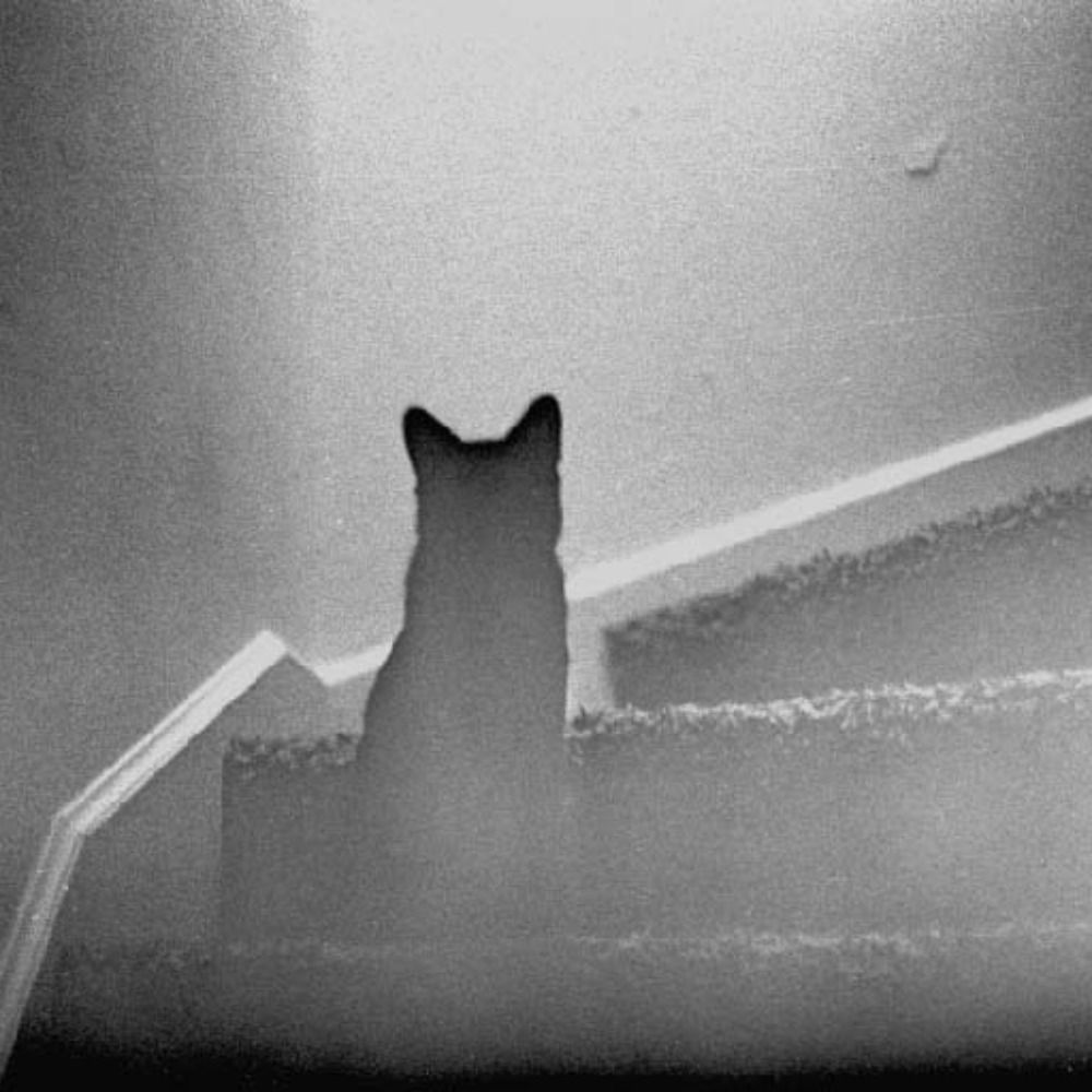 ghosts and all