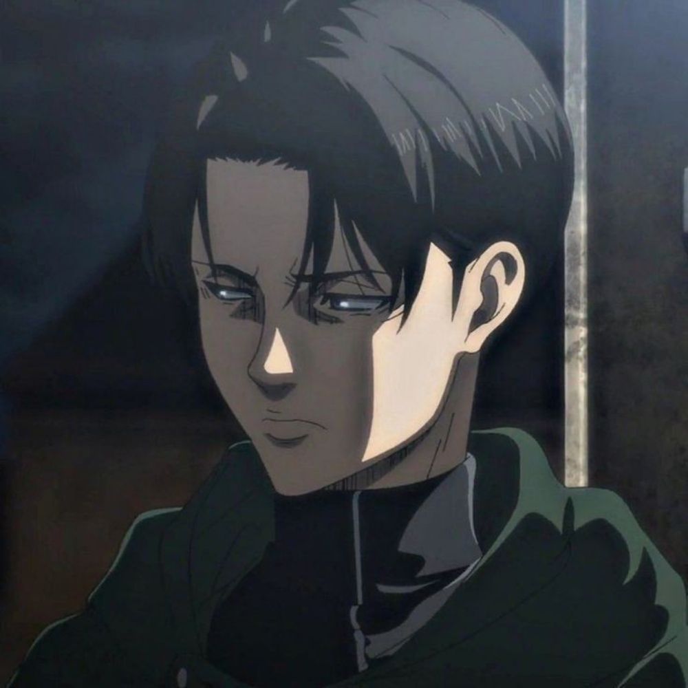 Kemalist Levi