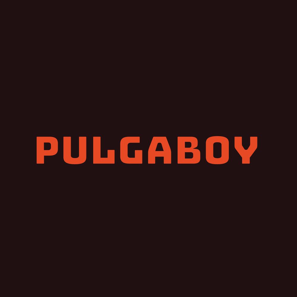 Taller de Pulgaboy