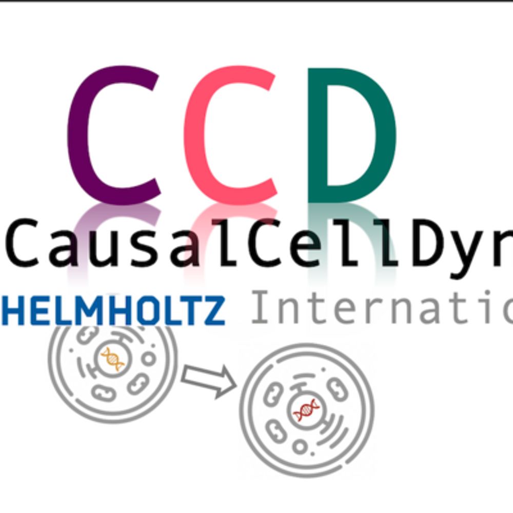 causalcelldynamics-helmholtz
