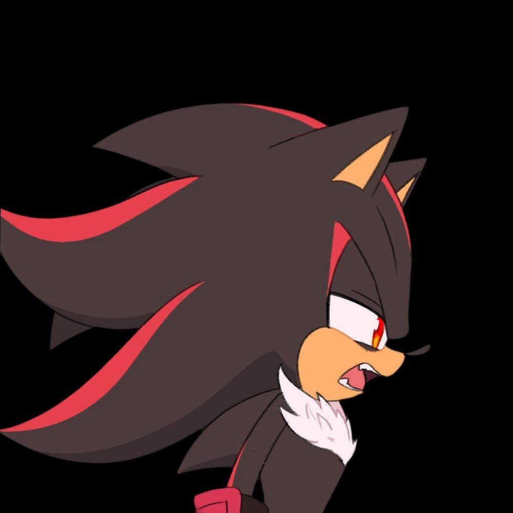 — 𝐏𝐑𝟎𝐉𝐄𝐂𝐓: 𝐒𝐇𝐀𝐃𝐎𝐖