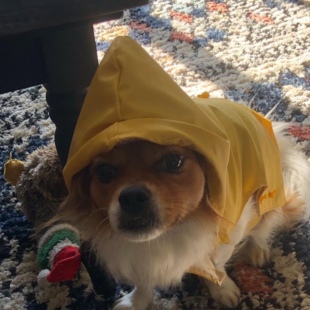 hot gritty summer