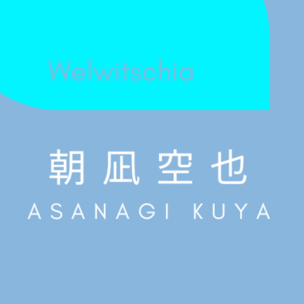 朝凪空也💫💙💛🍉🕊️