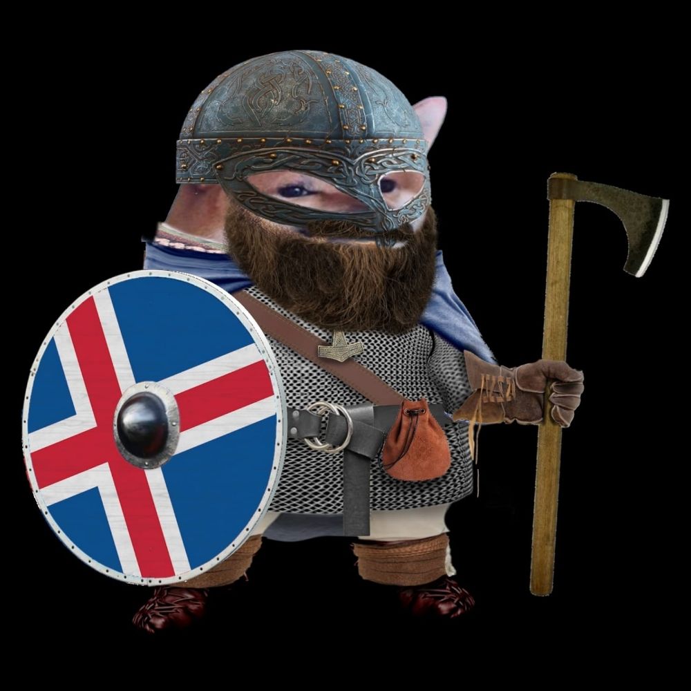 Viking Fella