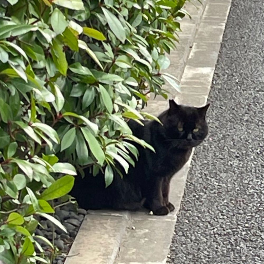 えん
