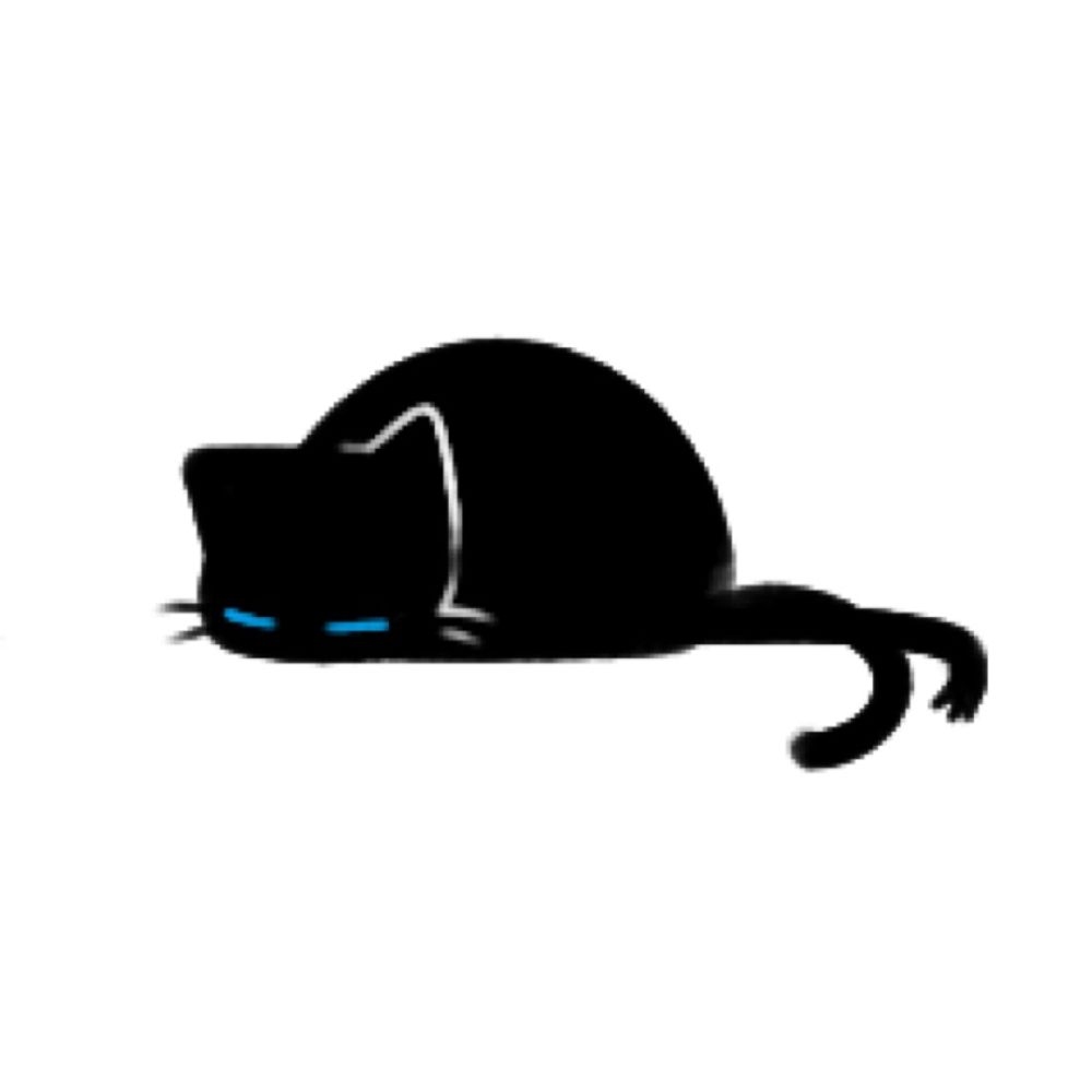 黒猫