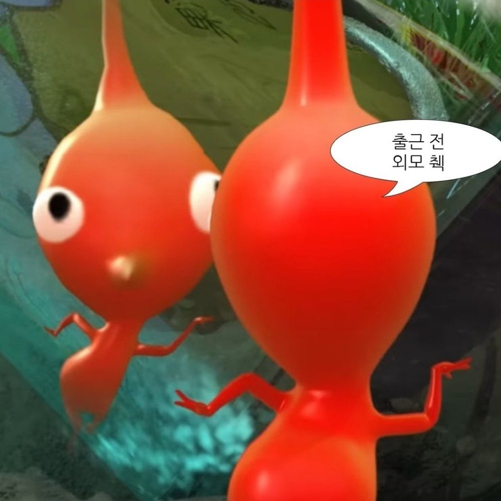 저게이아닙니다