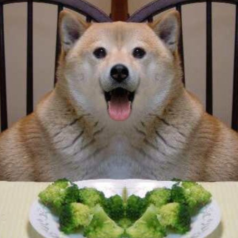 あるけ