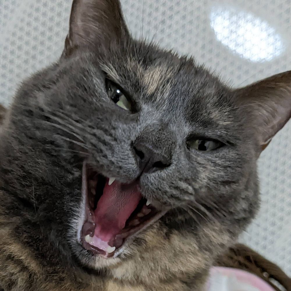 ネグジット