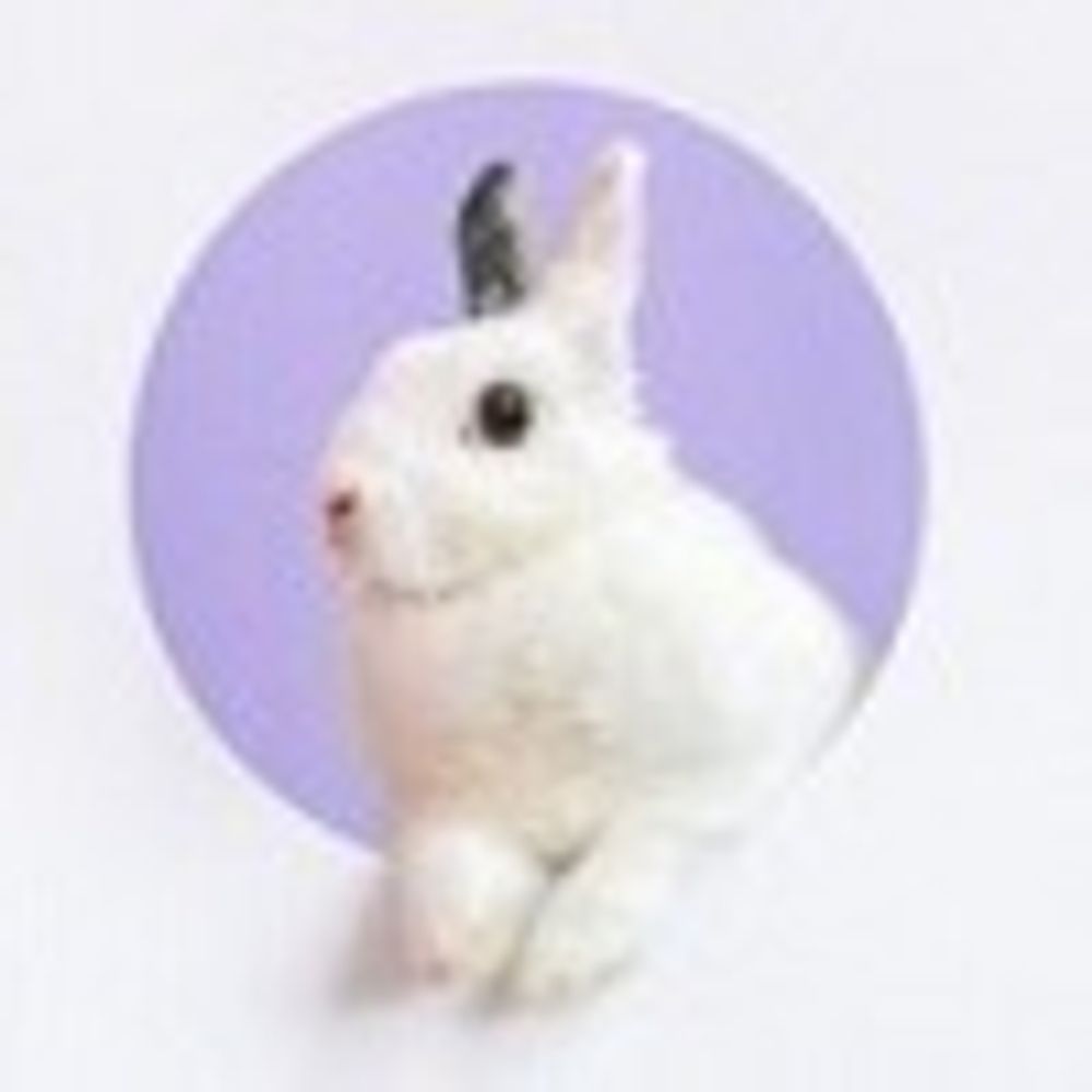 Profile picture lucybluebunnies.bsky.social