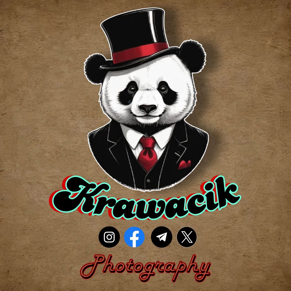Krawacik