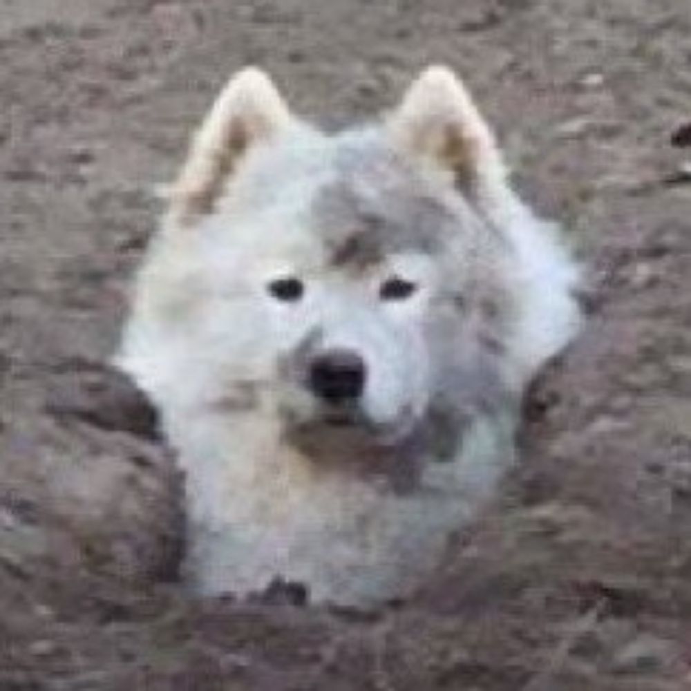 정오