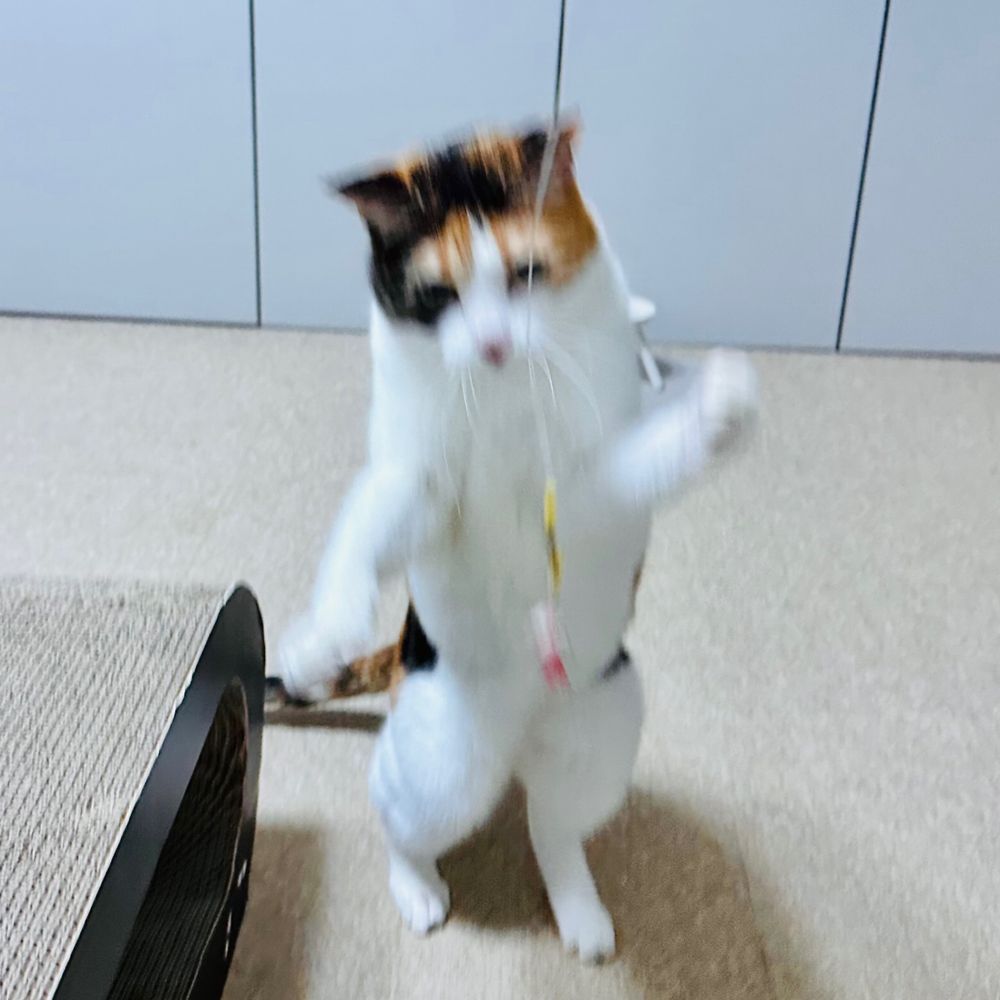 톄