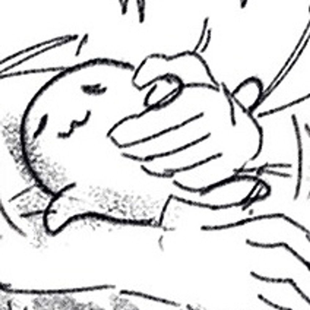 五日