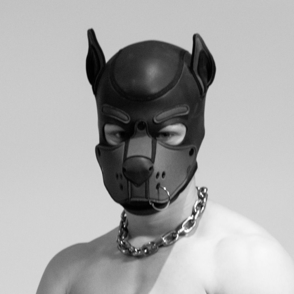Pup Mutt