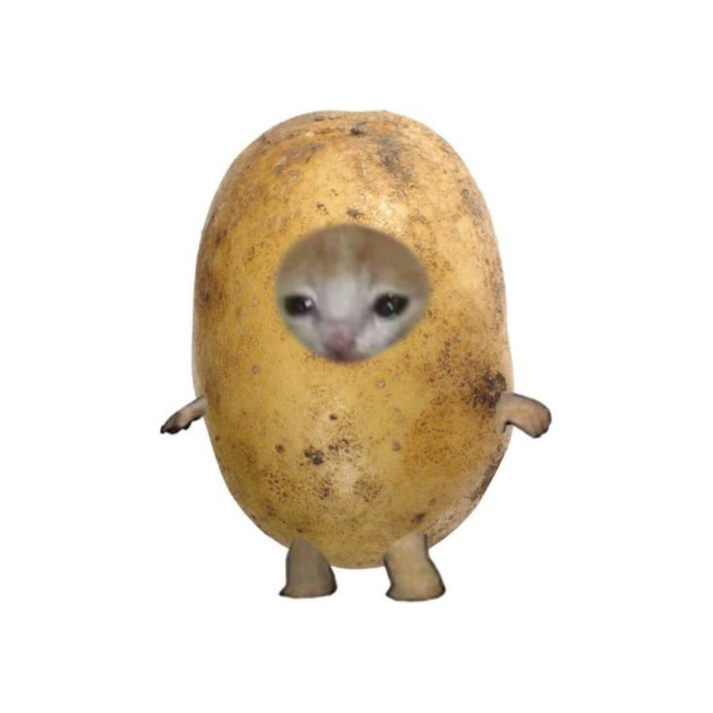 김감자