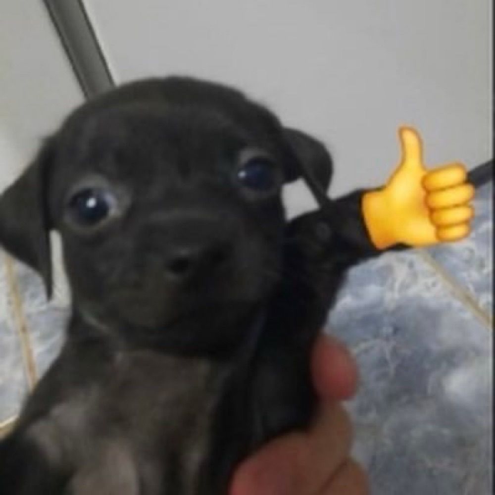 sah