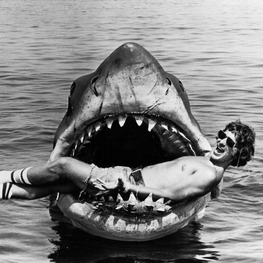 Bruce the Shark