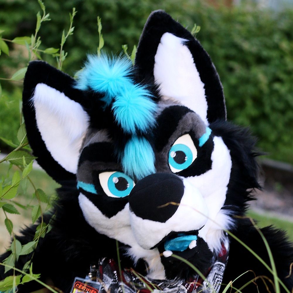 Ben Wusky