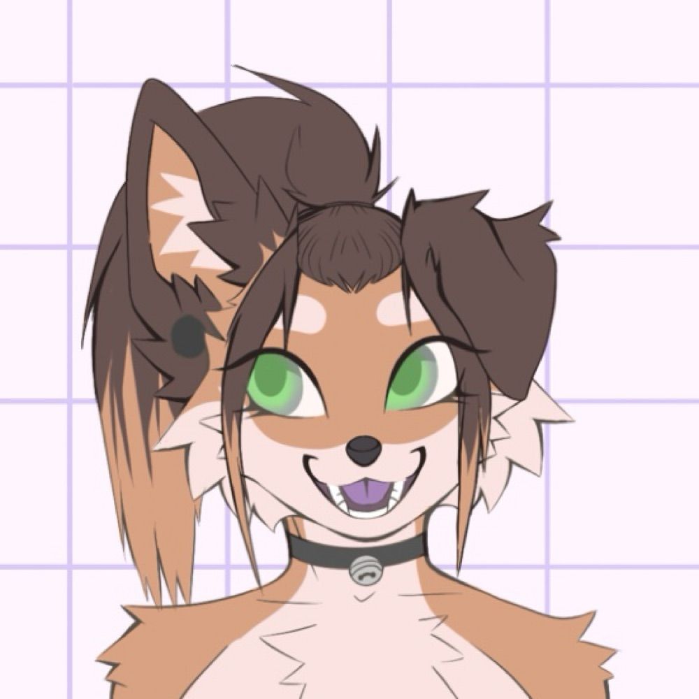 Kit