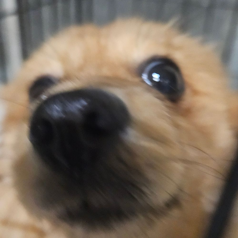 (⁠๑⁠´⁠•⁠.̫⁠ ⁠•⁠ ⁠`⁠๑⁠)