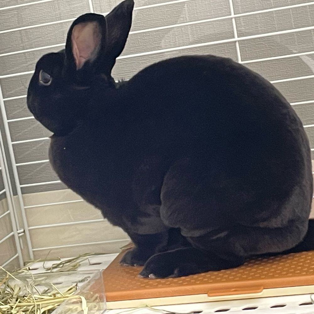 伯耆誠也