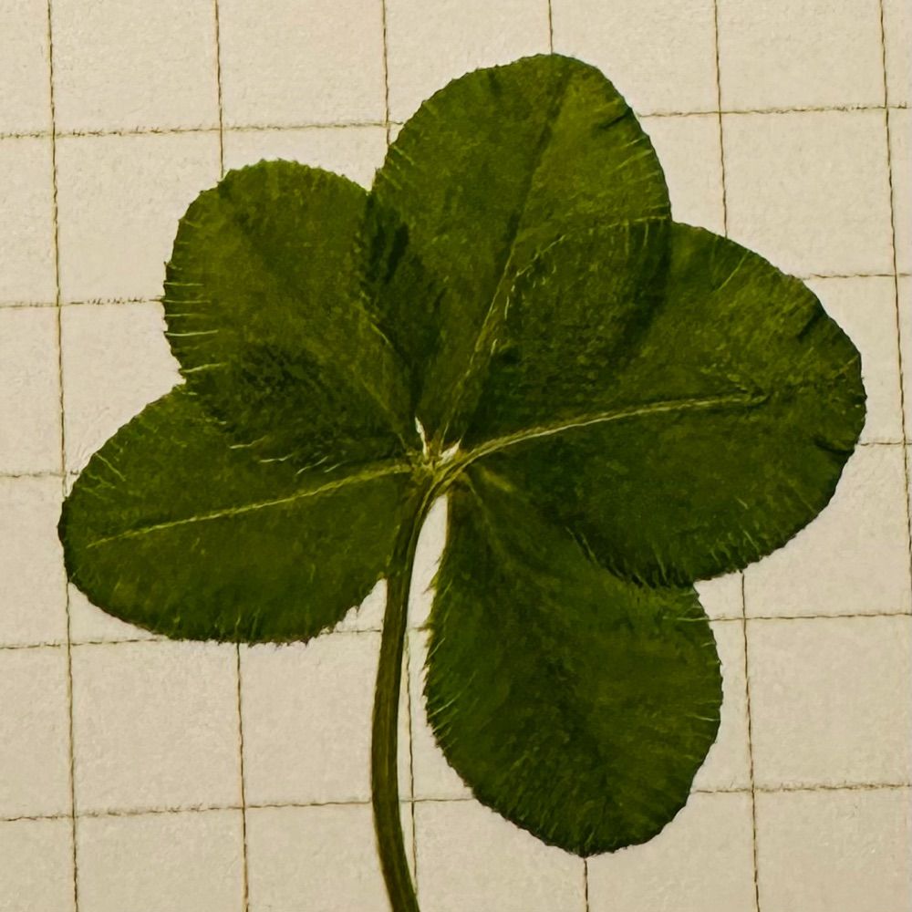 CloverKey