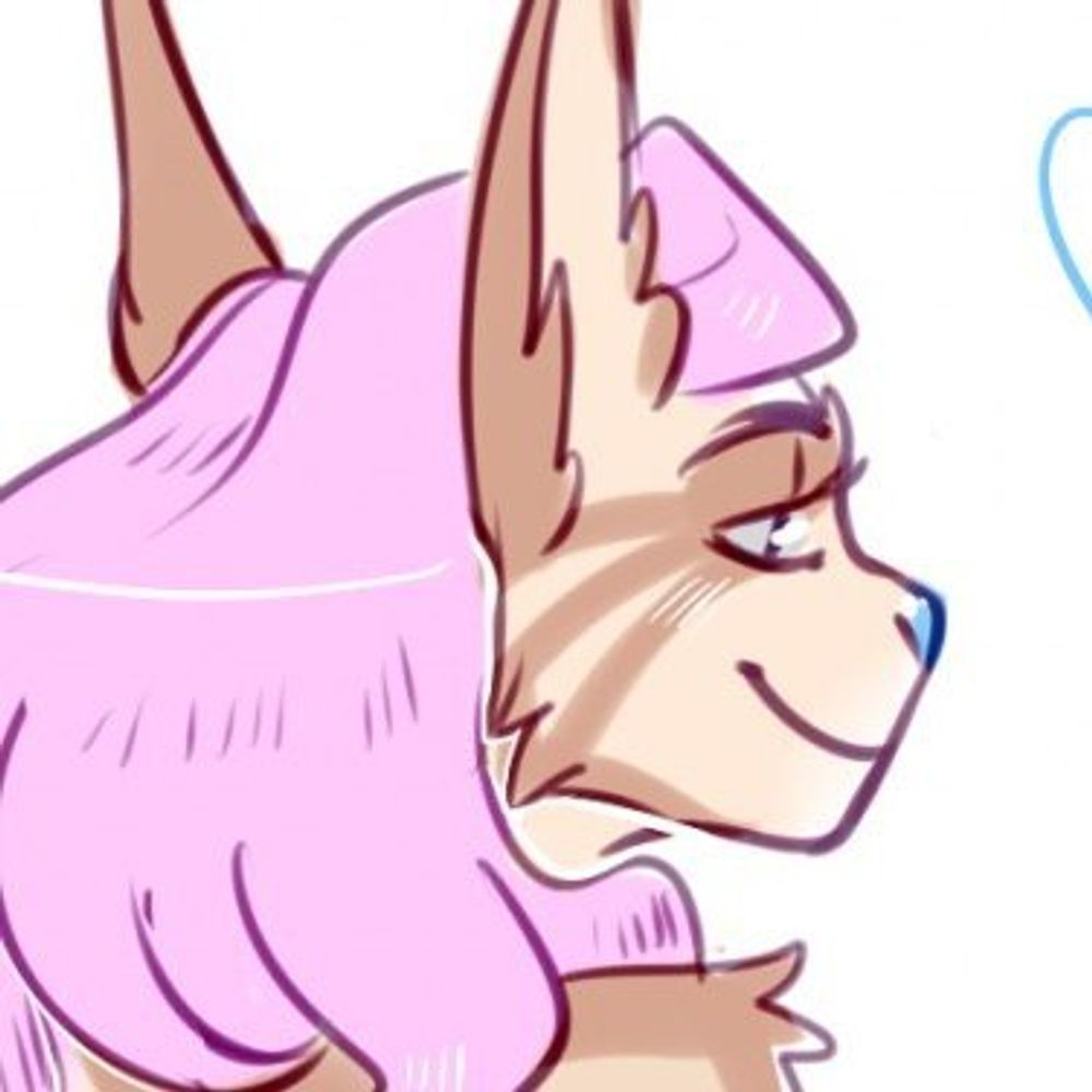 Bindy the Cat 🌼 commissions open 💖