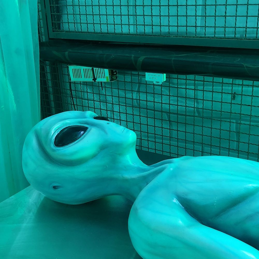 nelsonrodrigues1.bsky.social