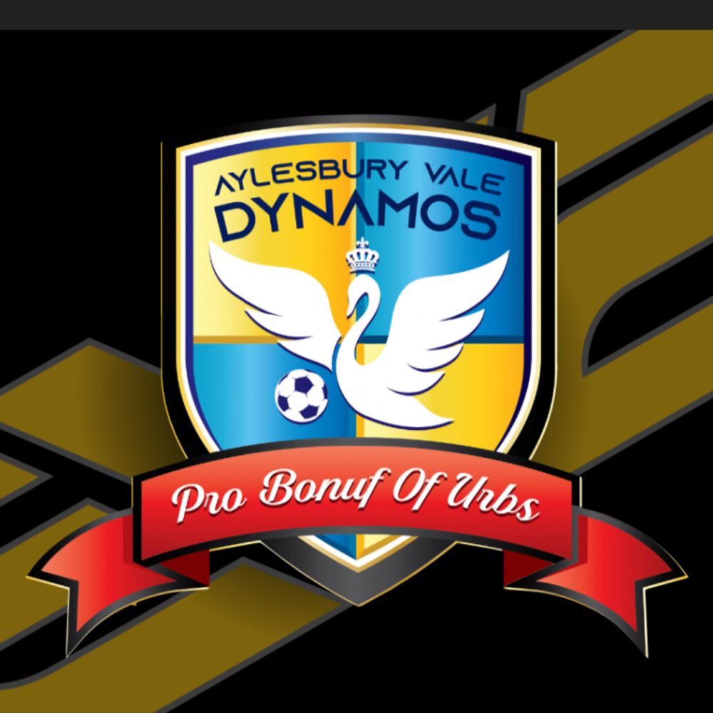 Aylesbury Vale Dynamos FC