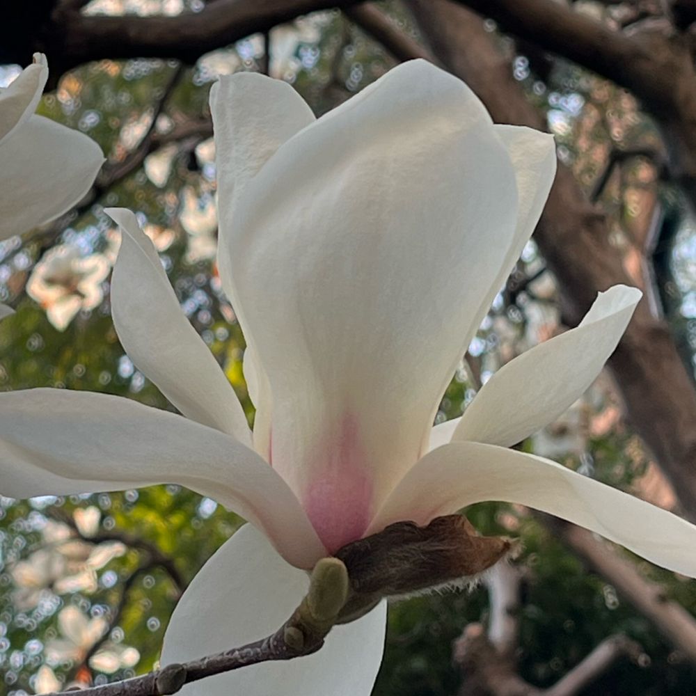 rainphoto.bsky.social