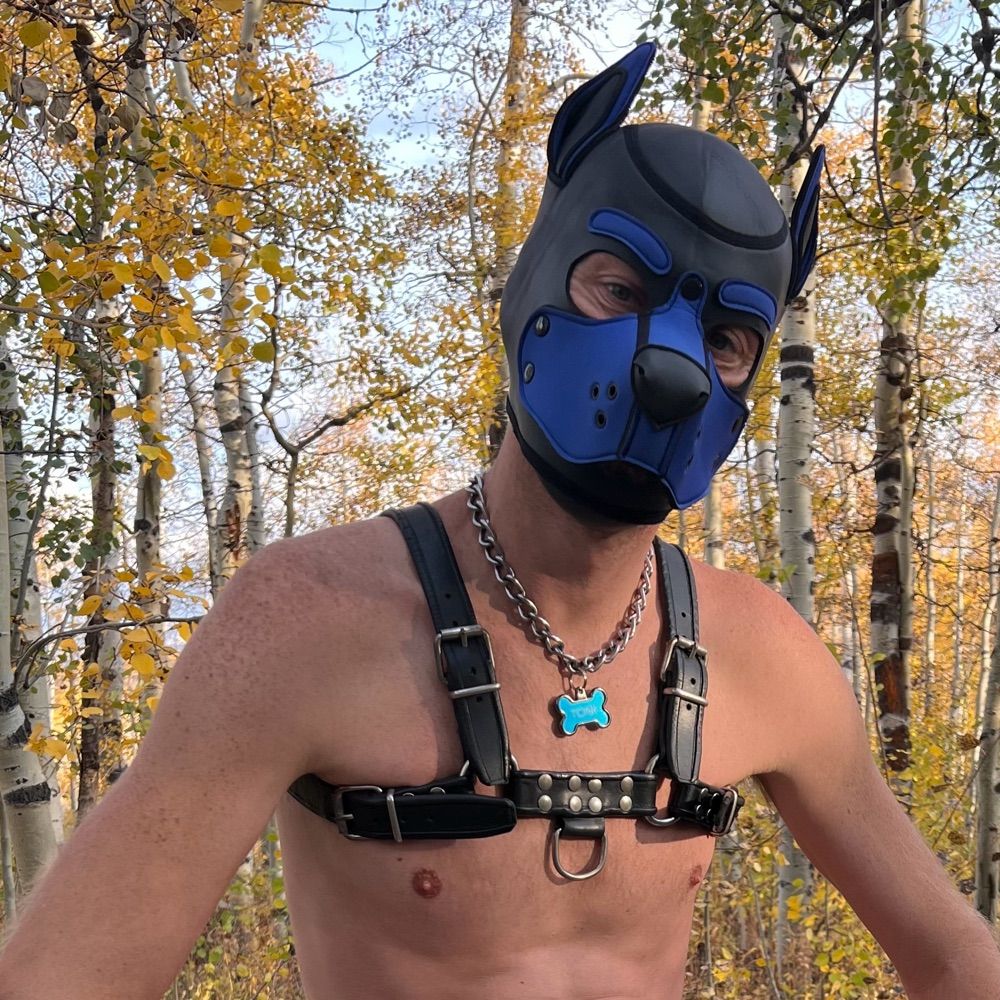 Pup Tonk