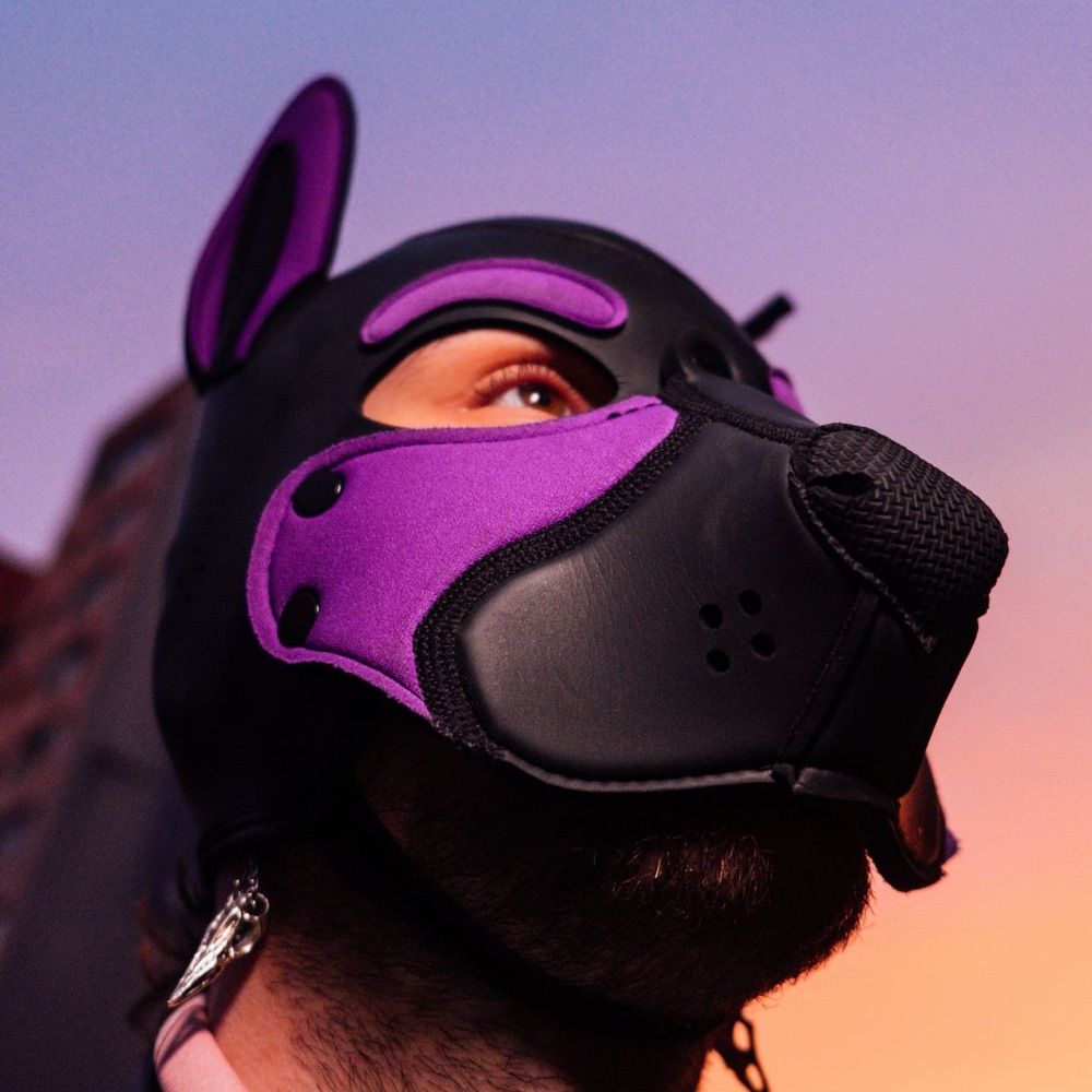 Pup Leo🦁 🔜darklands 2025