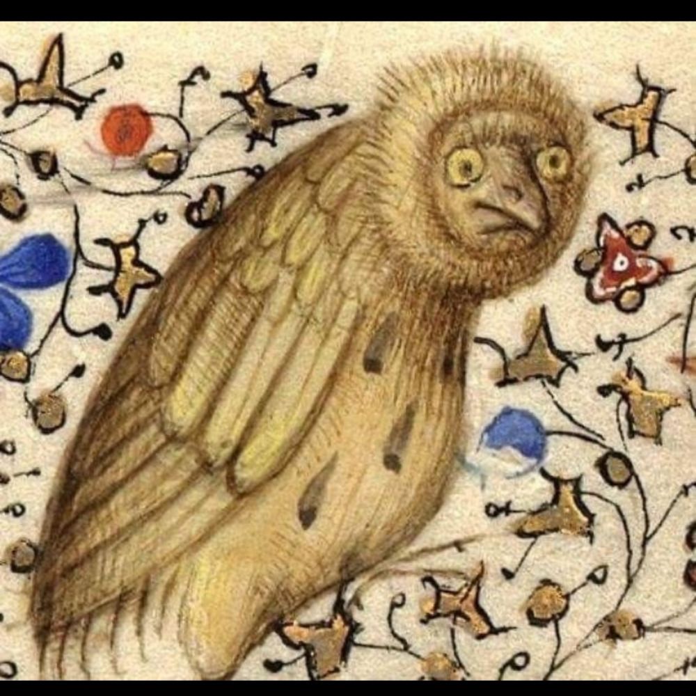 Quacker