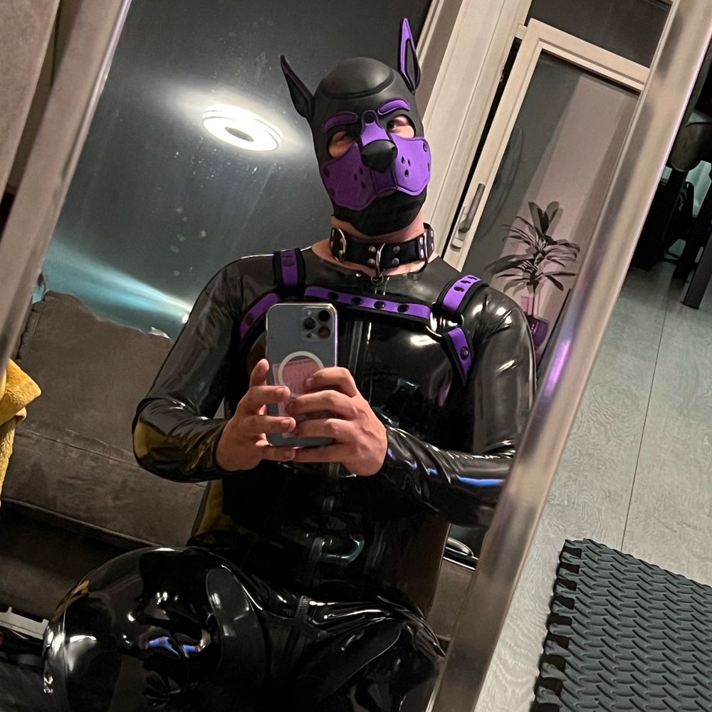 Pup_Steelz