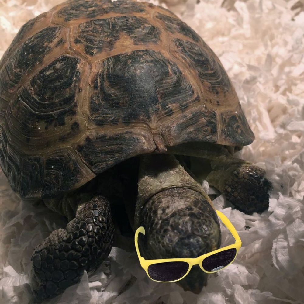 Ben