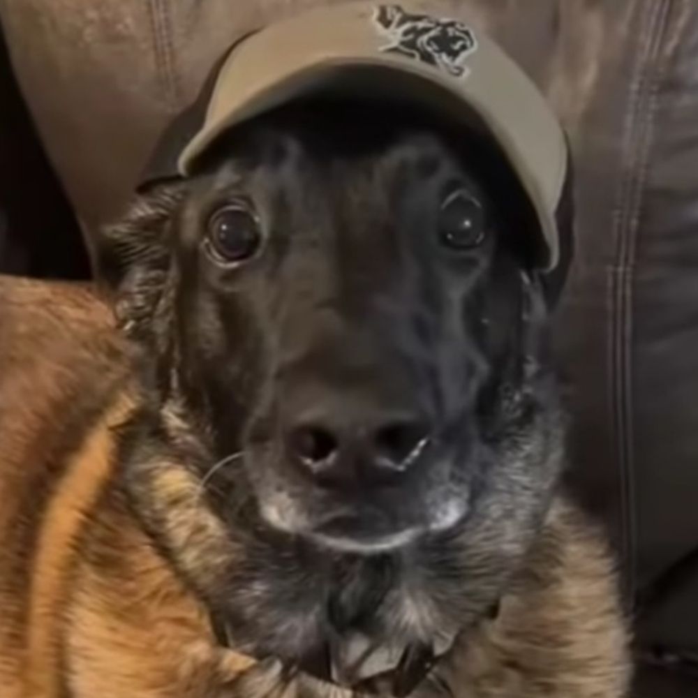 Brozac
