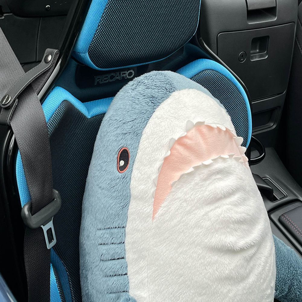 やすっち