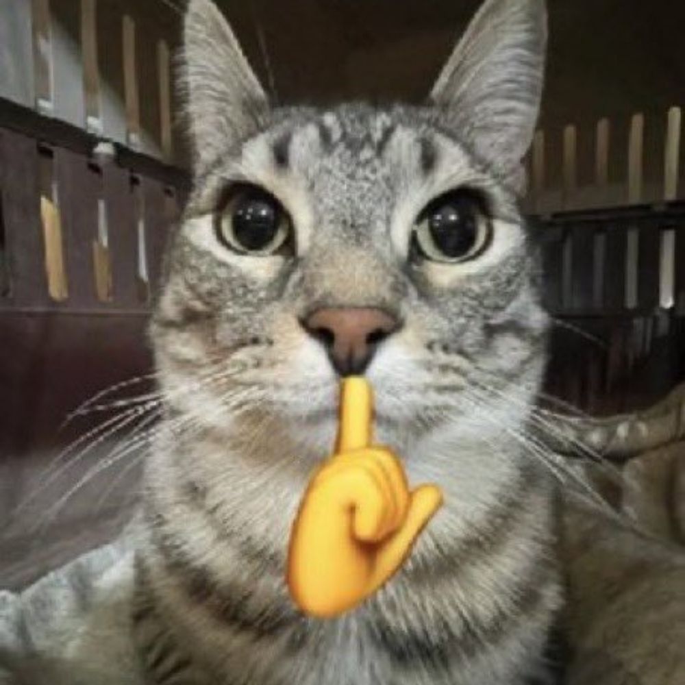 Axowot 