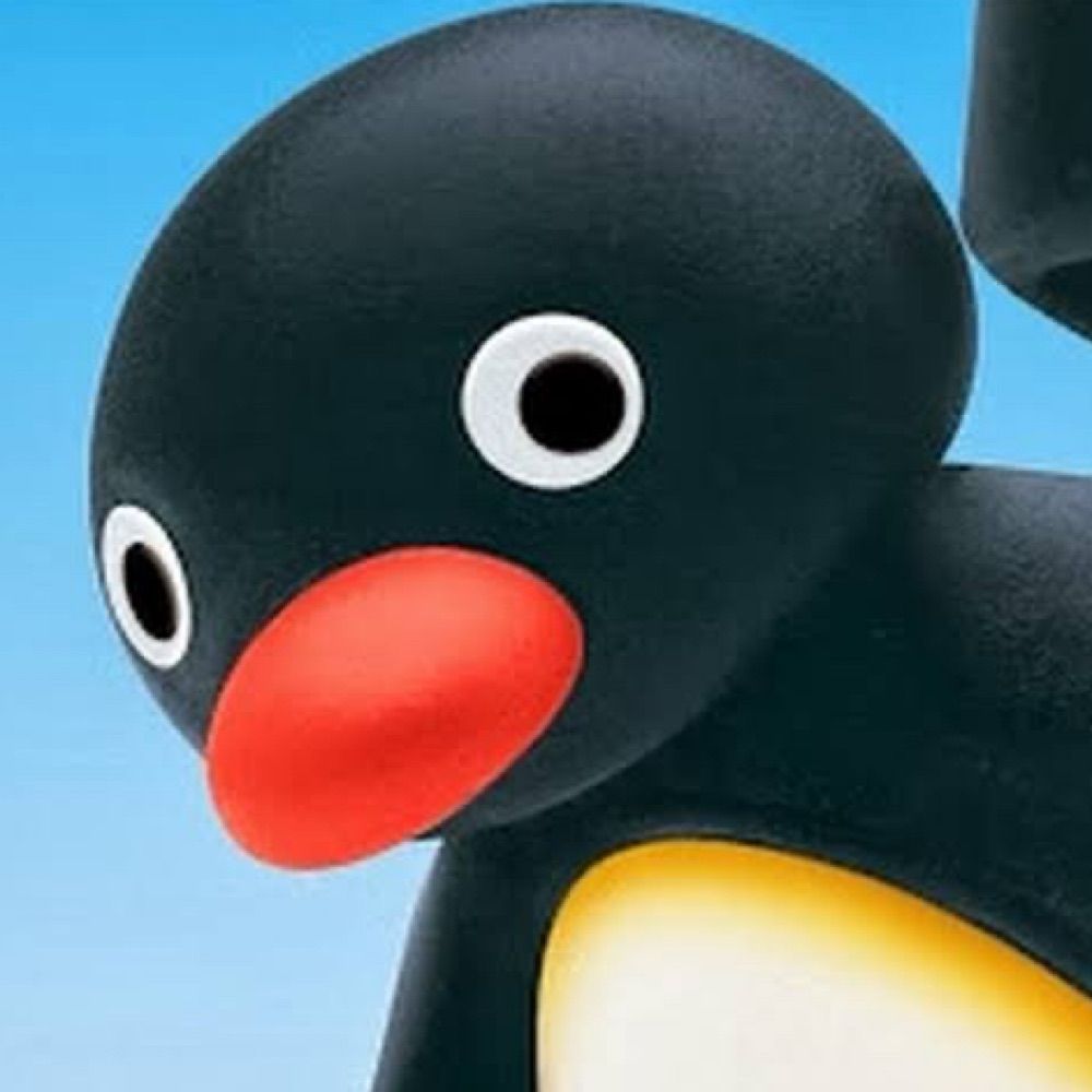 Pingu Capital