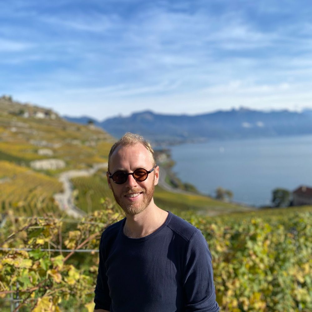 Stijn ter Heerdt