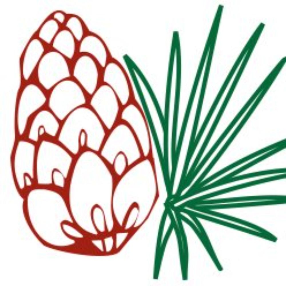 Longleaf Services, Inc.