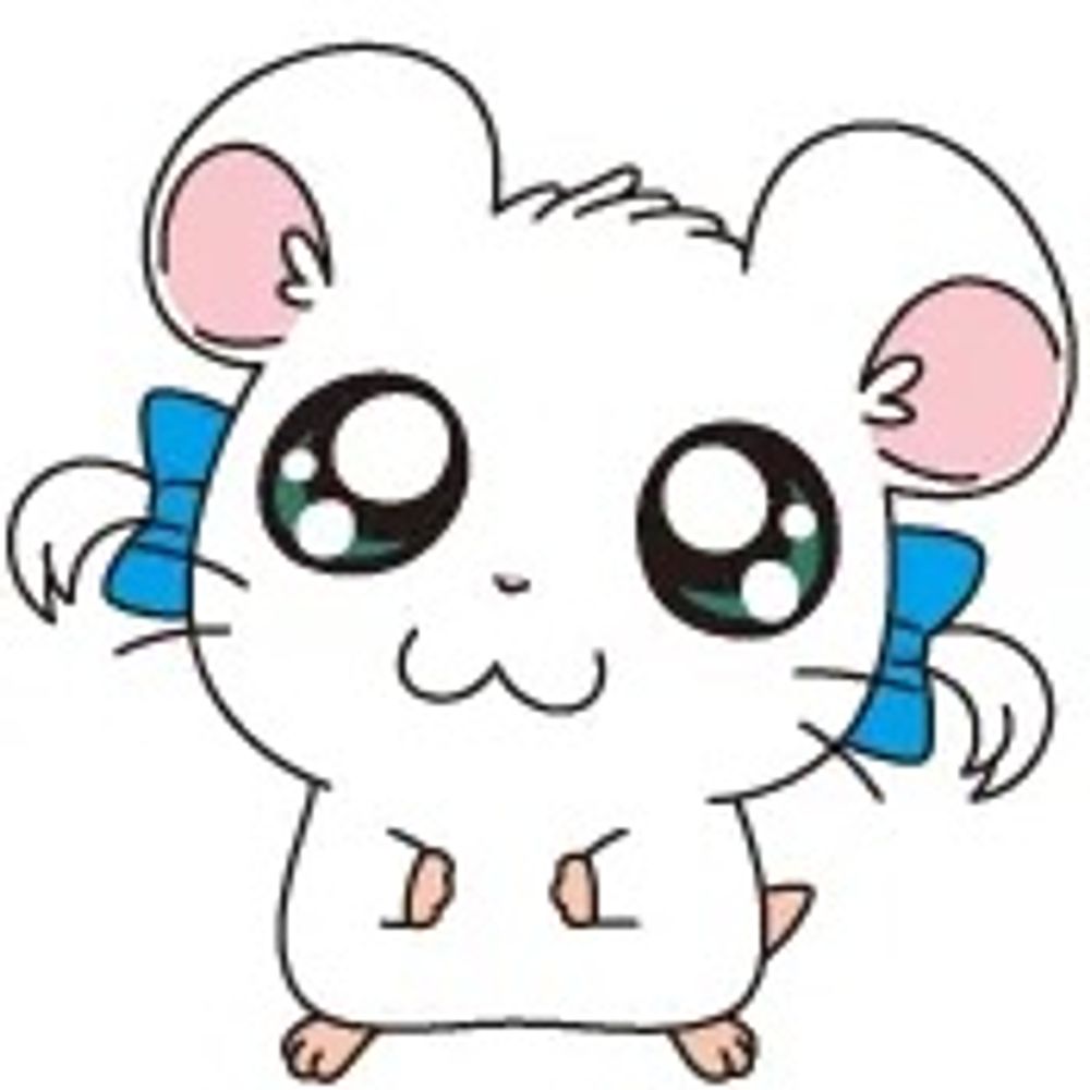 짱세히