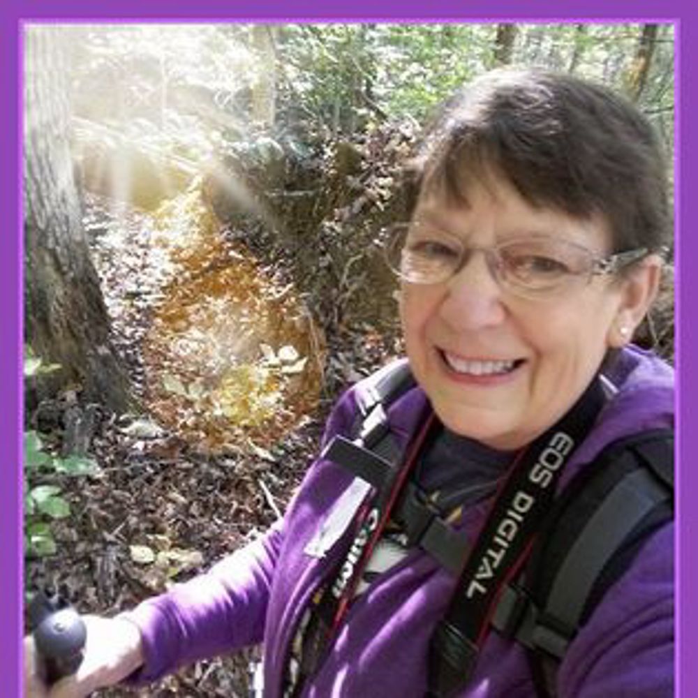 Maureen McDonald 