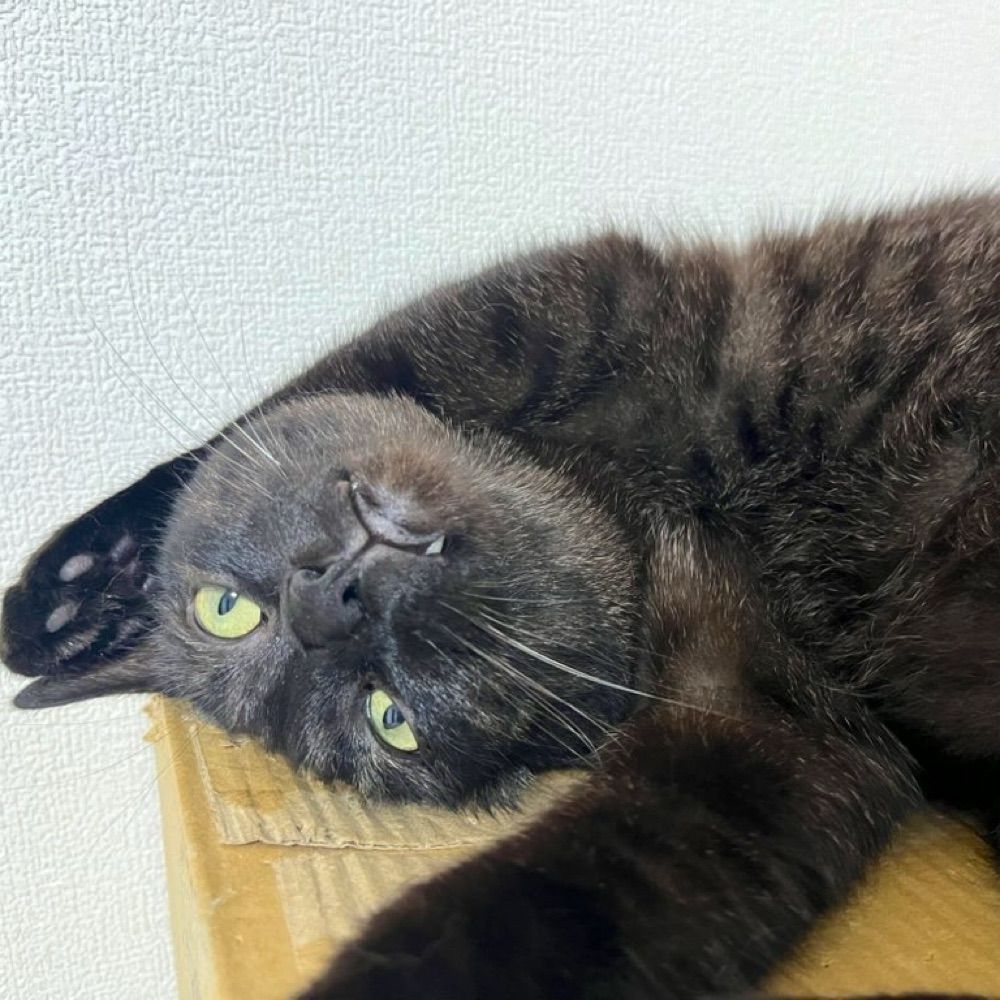 4410