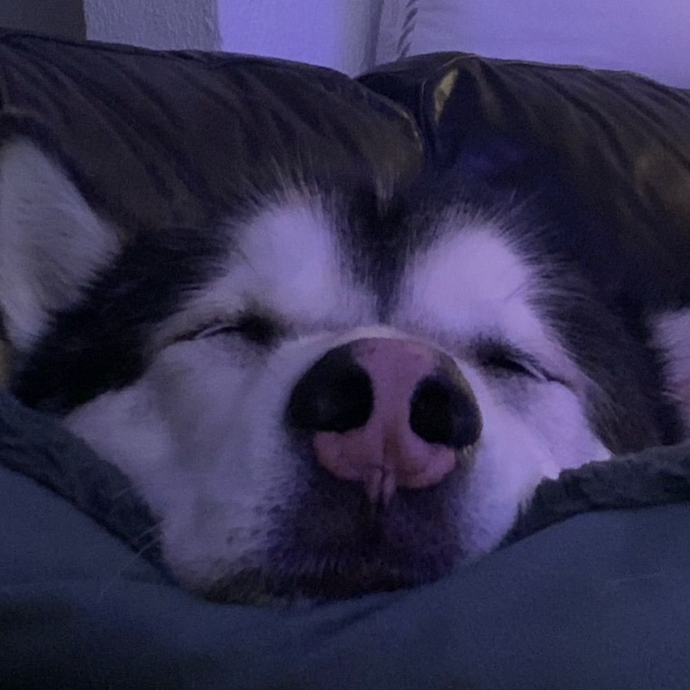 Jake