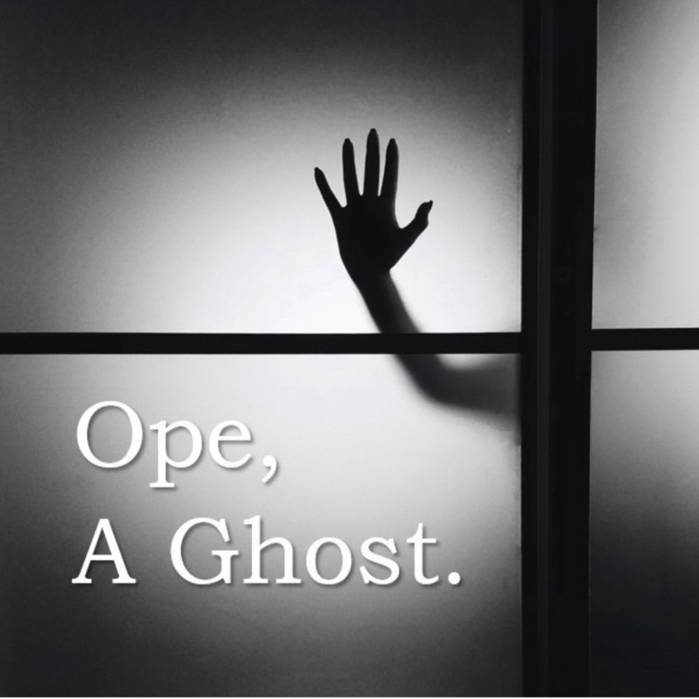 Profile picture ope-a-ghost.bsky.social